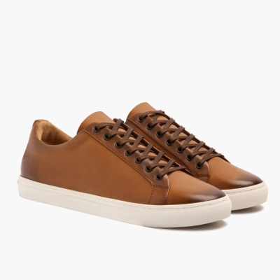 Thursday Boots Premier Men's Low Top Sneakers Brown | AU7810345